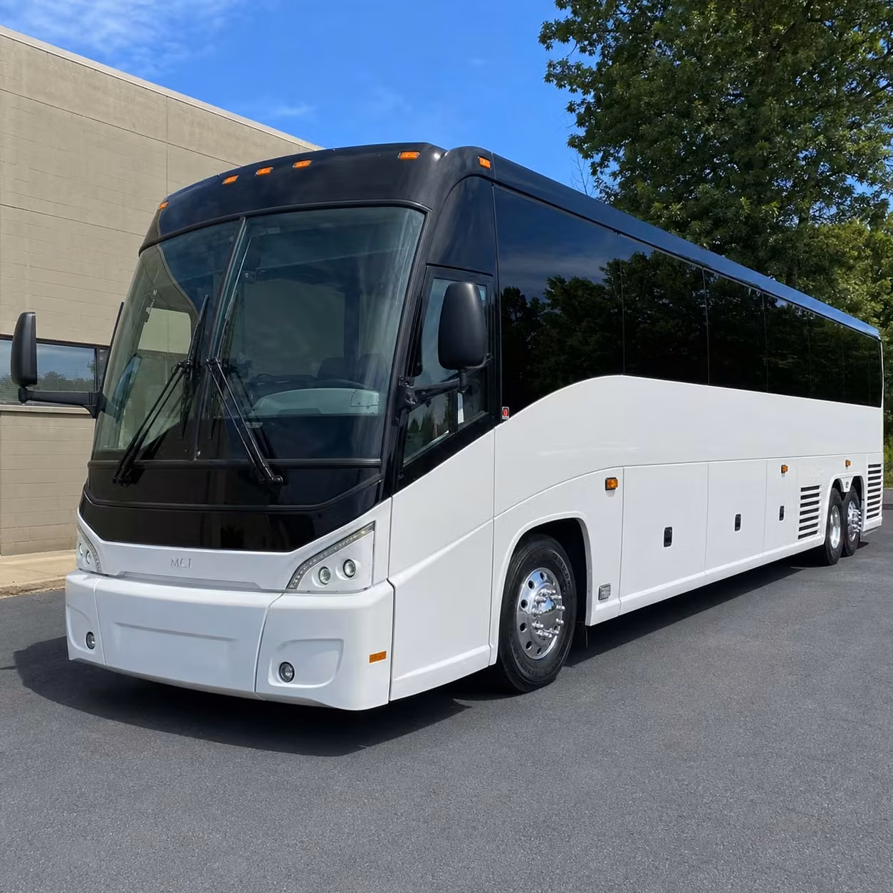 wedding guests reunions and private groups rely on long distance buses from parma